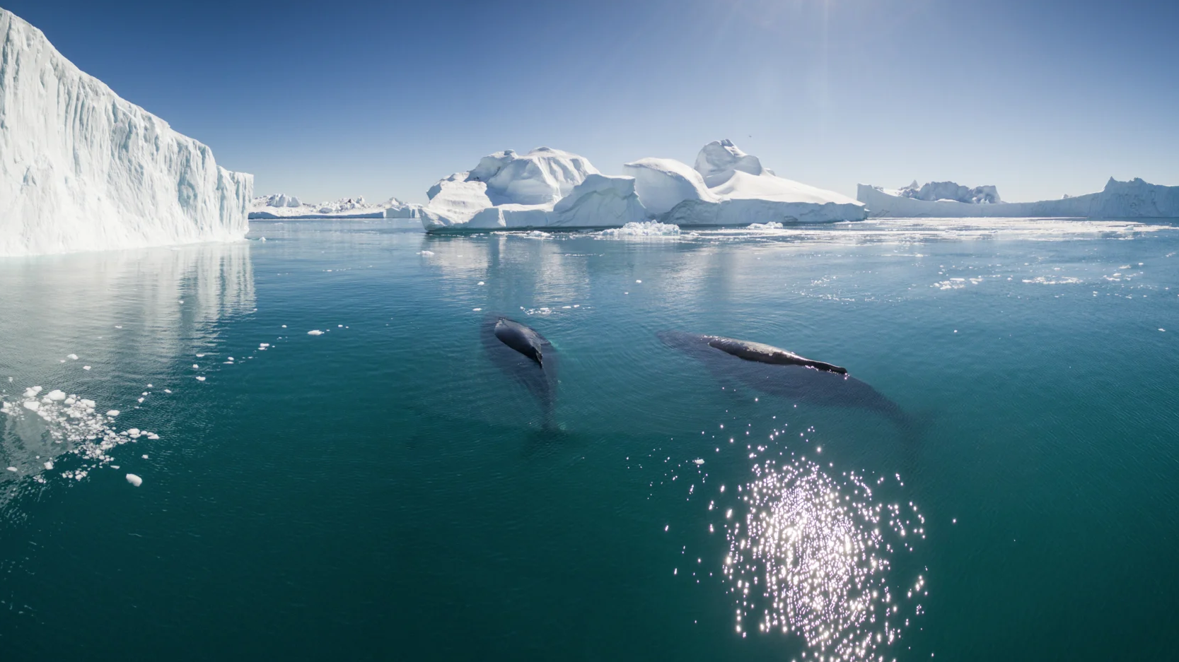 Northwest Passage - Through the Arctic Labyrinth (Greenland to Alaska)