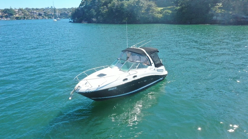 Sea Ray 260 Sundancer 2007