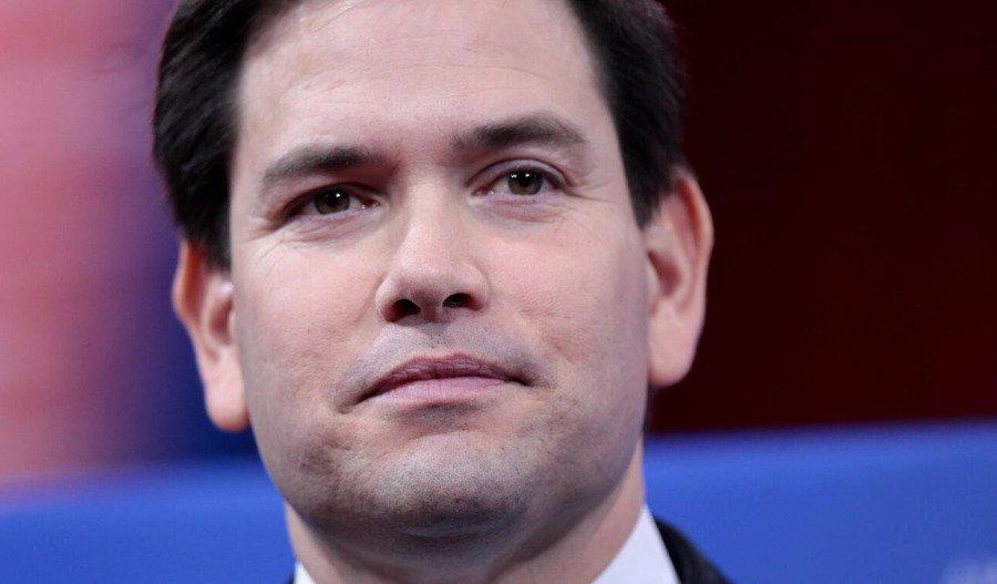 Rubio head