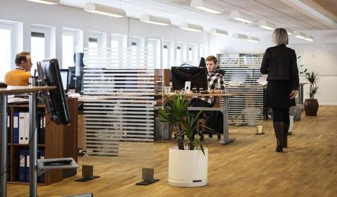 COS finds 20% of employees do not feel safe at work