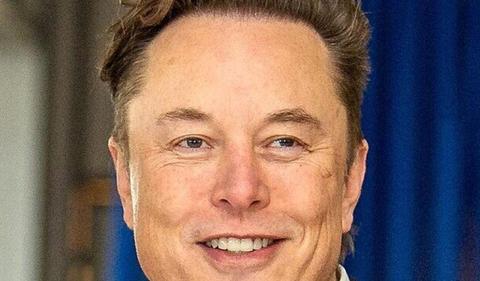 Musk hopes for US-Europe free trade zone as tariffs bite