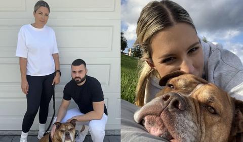 The Founders: Dog Friendly Co. harness a puppy's dream