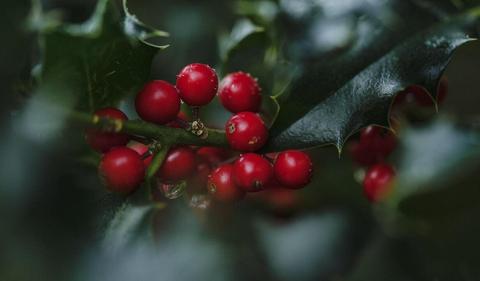 Amcor finalises Berry Global merger, misses 3Q estimates