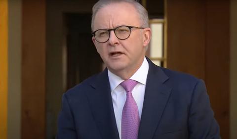 'We're not getting carried away': Albanese after the win