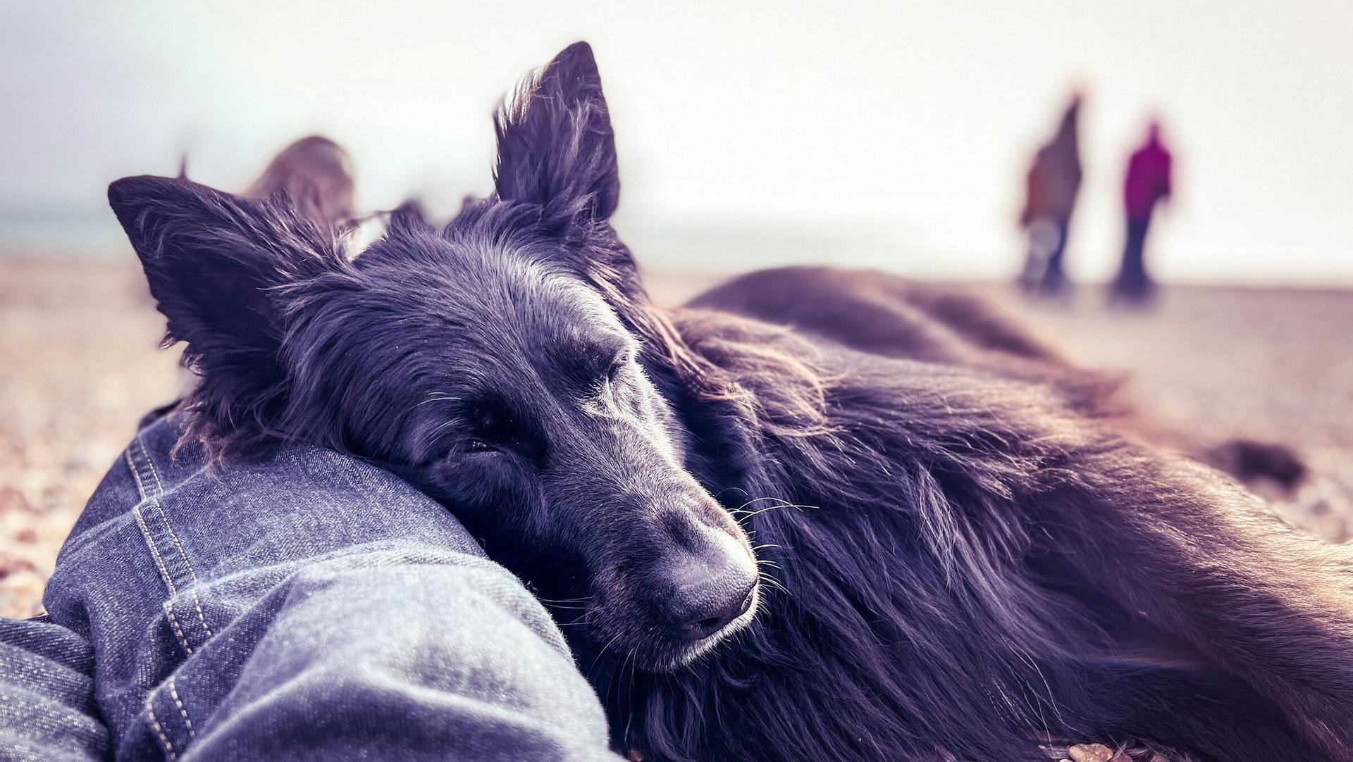 Credit: Graham Smith / Unsplash