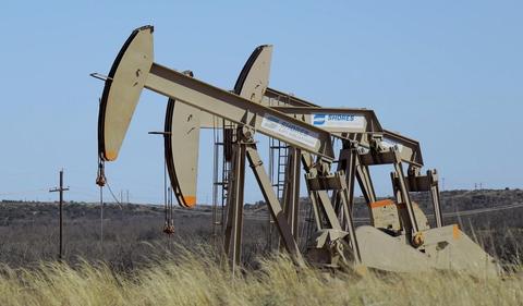 Oil rises as OPEC+ opts for steady output increase