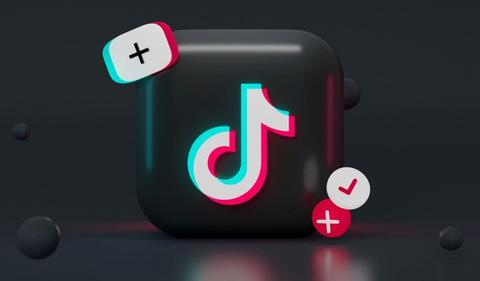 TikTok CEO, Trump meet as the social app fights US ban