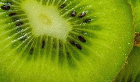 Combined Oz-Kiwi trading index to lure instos: Jarden