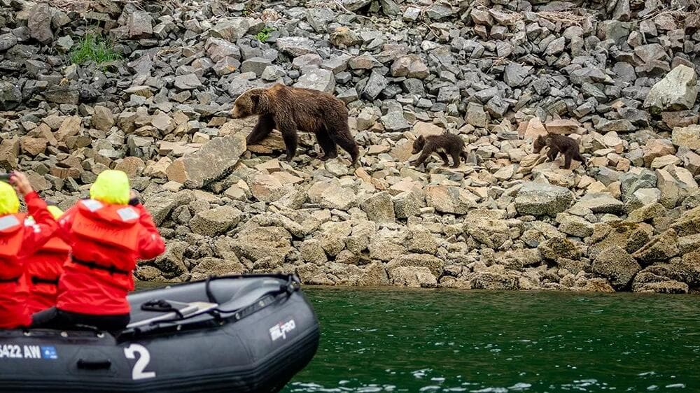 Alaska & British Columbia | Inside Passage, Bears and Aleutian Islands