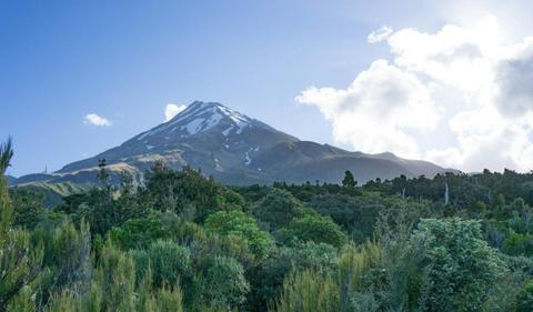 NZ's Mount Taranaki given personhood in Crown ruling