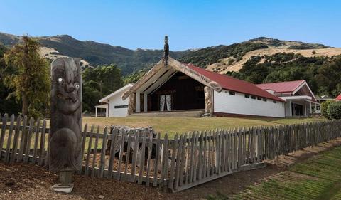 NZ marks Waitangi Day amid Treaty Principles bill debate