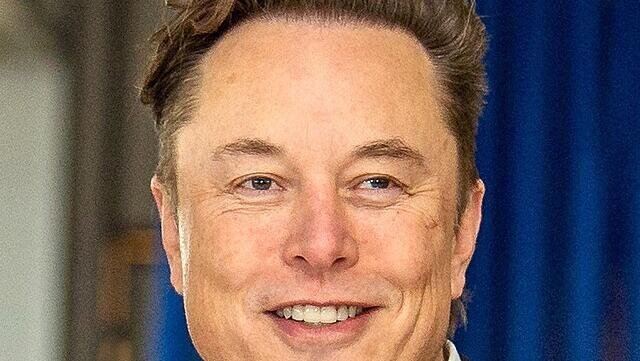 Musk hopes for US-Europe free trade zone as tariffs bite