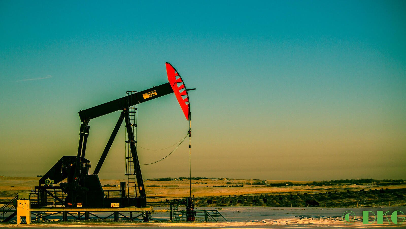 Oil at weekly highs on Iran sanctions, OPEC cuts