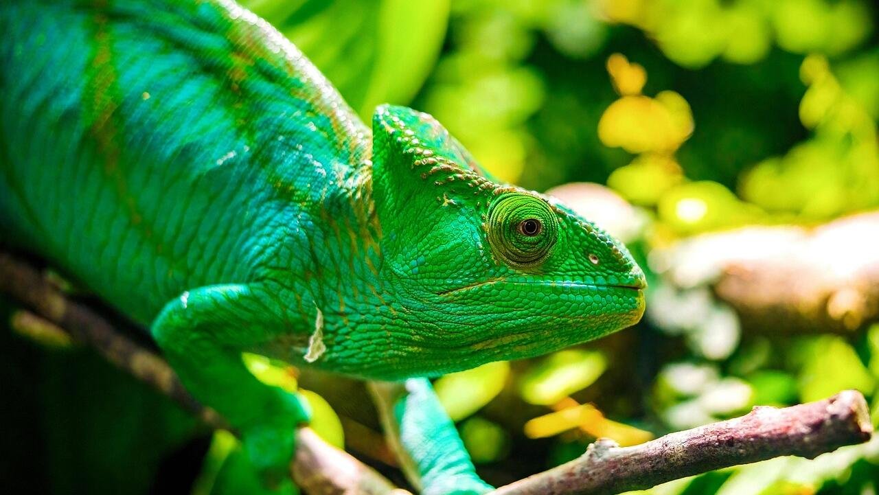 APAC benchmarks turn green on hopes of easing trade war