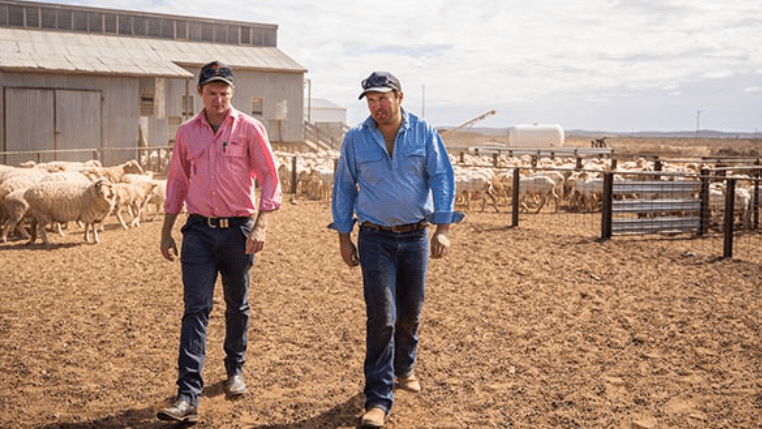 Elders bullish on H2 outlook after profit rebound