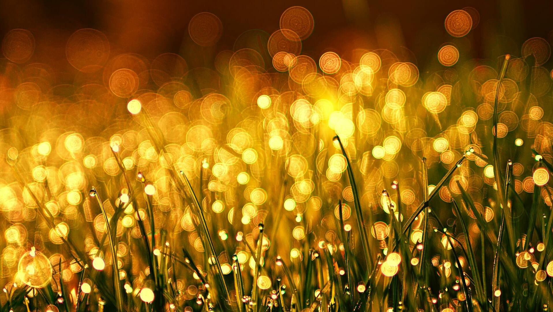 Gold ticks lower; trade optimism offsets Russia tension