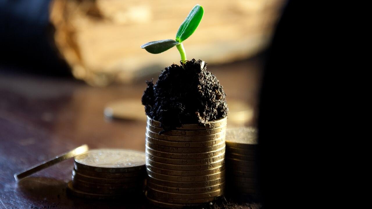 The power of dividends: Building an income portfolio