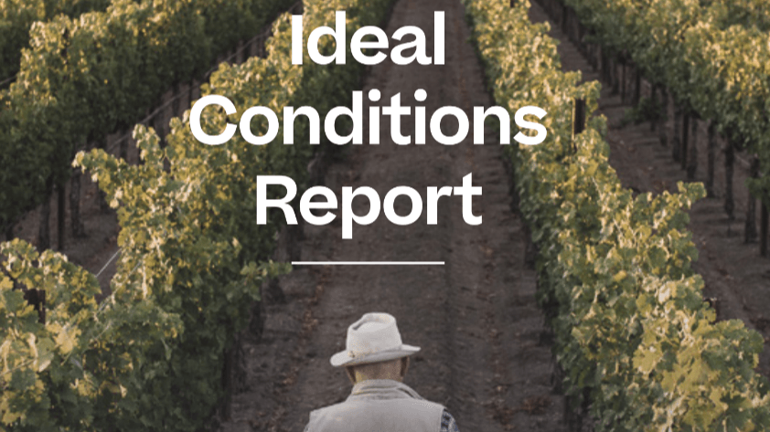 Naked Wines: retail giants are squeezing them