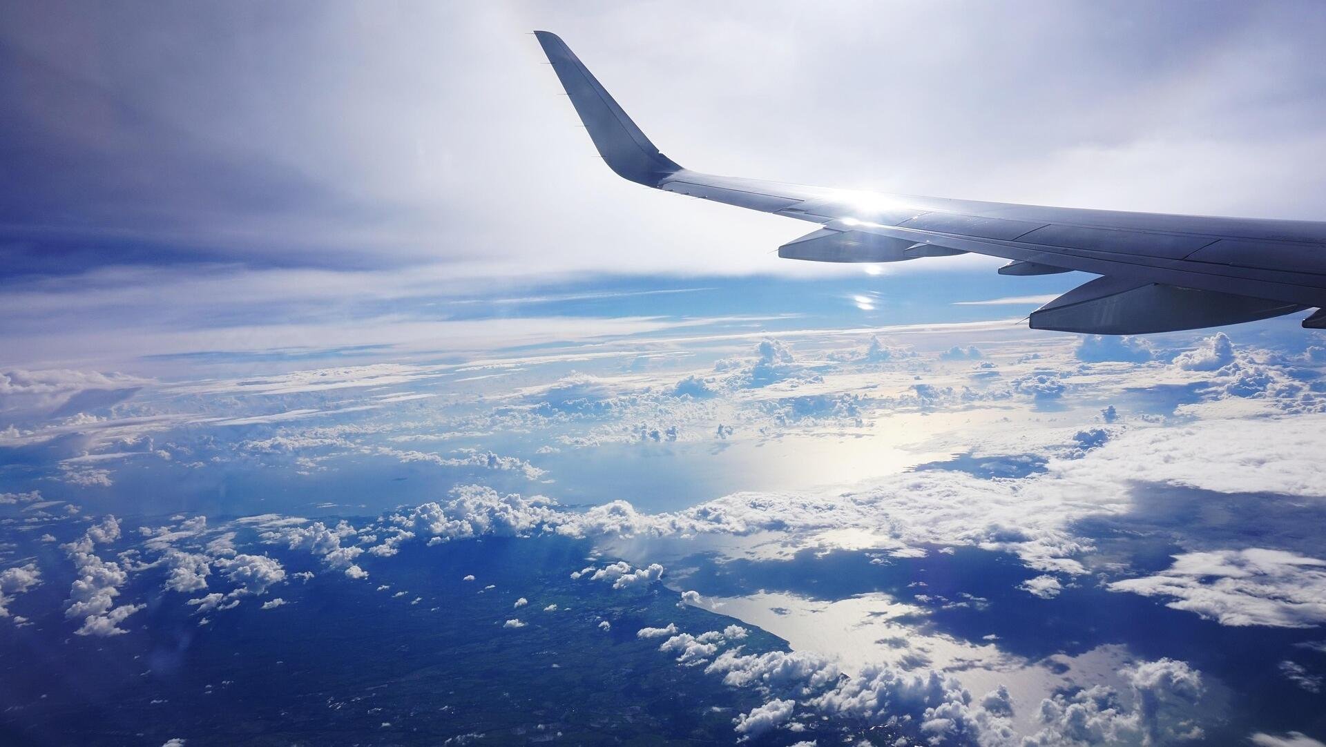 Taxpayers to foot bill for Rex becoming national carrier