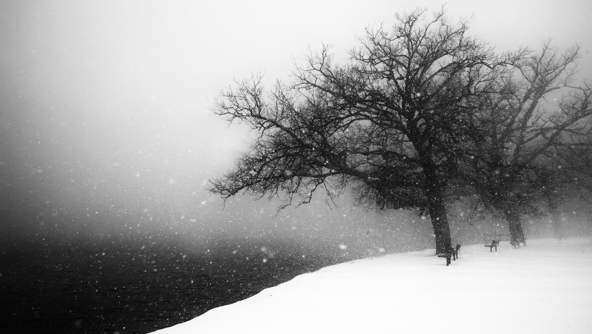 Credit: Ari He / flickr